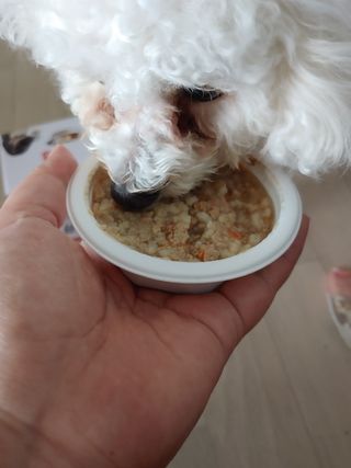 둥이맘님이 올린 리뷰 사진 4