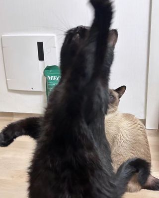 함지아님이 올린 리뷰 사진 2