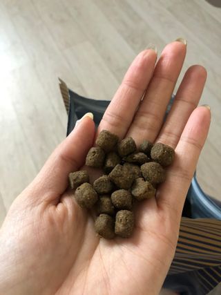 JkLee님이 올린 리뷰 사진 3