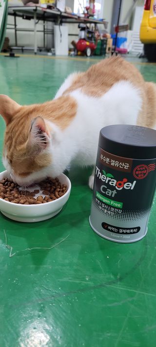 세별이네님이 올린 리뷰 사진 1