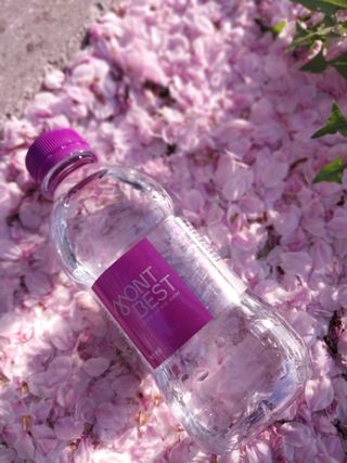 몽베스트 [MONTBEST] 330mL 20병 — 5점을 준 리뷰어가 2023년 4월 올린 사용 사진