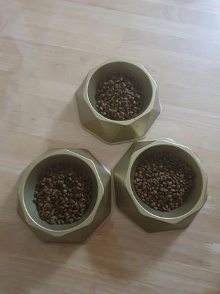 보미누나님이 올린 리뷰 사진 2