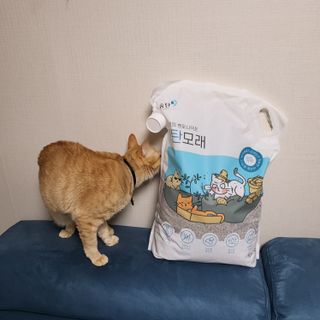 수경이야님이 올린 리뷰 사진 4