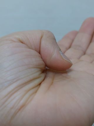 yy유님이 올린 리뷰 사진 4