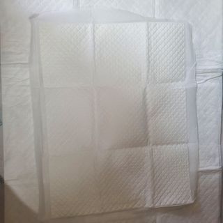아베크 펫 와이드 프리미엄 대형 애견 강아지 배변 패드 30매 1팩 80g — 5점을 준 리뷰어가 2021년 7월 올린 사용 사진