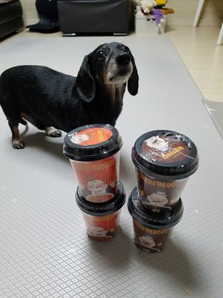 유비쿡 컵떡볶이 매운컵떡볶이2개/ 짜장컵떡볶이 2개  총 4개세트 — 5점을 준 리뷰어가 2021년 2월 올린 사용 사진