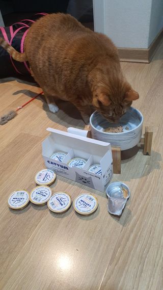 짱가엄마님이 올린 리뷰 사진 2