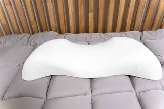 영지버섯님이 올린 리뷰 사진 2