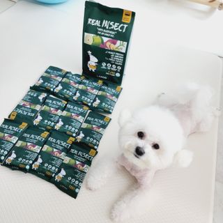 [푸디웜] 라포그  리얼인섹트 웨이트밸런스 저알러지 강아지 사료  1.2KG — 5점을 준 리뷰어가 2022년 7월 올린 사용 사진