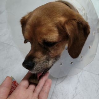 별리리님이 올린 리뷰 사진 3