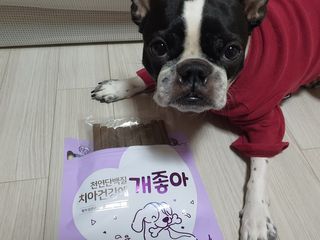 My Pet Care 천연단백질 치아건강에 개좋아 — 5점을 준 리뷰어가 2021년 2월 올린 사용 사진