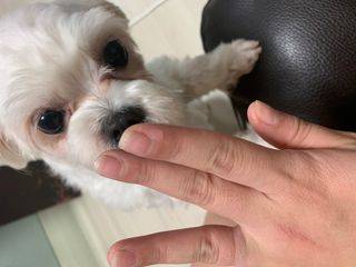 신하늘님이 올린 리뷰 사진 4