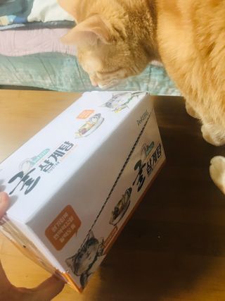 이아님이 올린 리뷰 사진 1