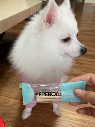 페페로니 클린플러스 덴탈치킨껌 10g x 14p — 4점을 준 리뷰어가 2021년 7월 올린 사용 사진