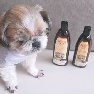 민우다빈이맘님이 올린 리뷰 사진 1
