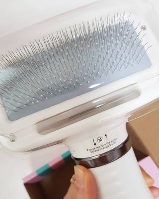 아베크 펫 강아지 고양이 애견 에어 브러쉬 드라이기 올인원 — 4점을 준 리뷰어가 2021년 7월 올린 사용 사진