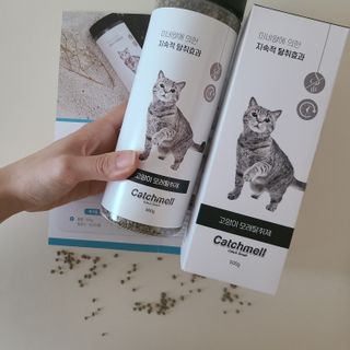 뭉히님이 올린 리뷰 사진 3