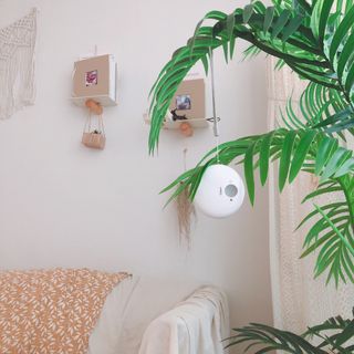 designerjoo님이 올린 리뷰 사진 1