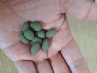 진라면님이 올린 리뷰 사진 3