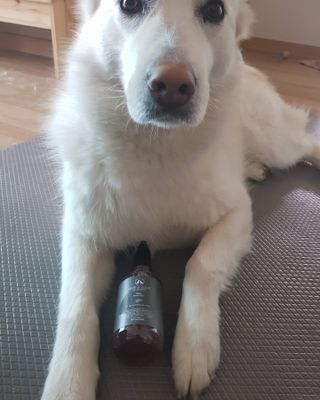 마리앤루이펫샴푸 [mari and louie pet shampoo] — 5점을 준 리뷰어가 2021년 5월 올린 사용 사진