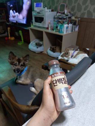 루비셀러님이 올린 리뷰 사진 1