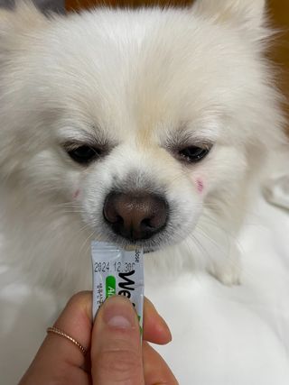 이예령님이 올린 리뷰 사진 1