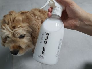 편백의정석 편백의 정석, 피톤치드스프레이 살균 천연 탈취제 집먼지 진드기 이불 침대 매트리스 새집중후군 천연 살균제 — 5점을 준 리뷰어가 2021년 4월 올린 사용 사진