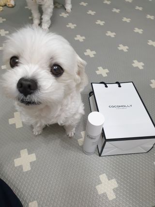 뽀야님이 올린 리뷰 사진 1