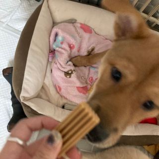예인오님이 올린 리뷰 사진 4