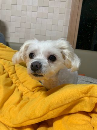 김주은님이 올린 리뷰 사진 3