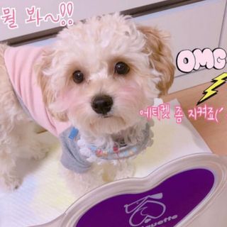 백설님이 올린 리뷰 사진 1
