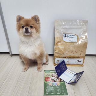 캐닌캐비어 알카라인 홀리스틱 그레이프리 앙뜨레 ALS_4종 오픈스카이, 와일드오션, 프리스피릿, 스페셜니즈 — 5점을 준 리뷰어가 2023년 4월 올린 사용 사진