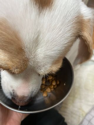 ㅇㅅㅇ님이 올린 리뷰 사진 2