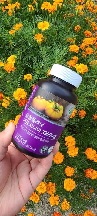 슬림플래닛 가르시니아 3900mg — 5점을 준 리뷰어가 2021년 8월 올린 사용 사진