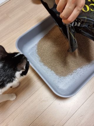 길예이님이 올린 리뷰 사진 3