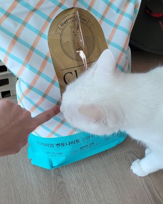 대박이님이 올린 리뷰 사진 1