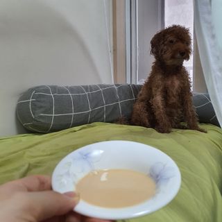 제이드님이 올린 리뷰 사진 4