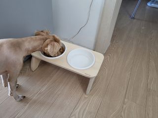 이예실님이 올린 리뷰 사진 3