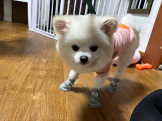 borana님이 올린 리뷰 사진 4