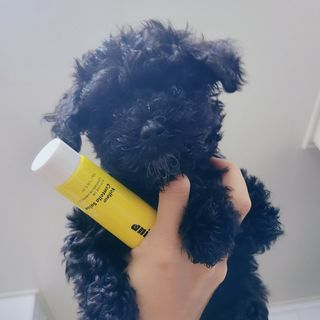 다시마미마미님이 올린 리뷰 사진 3