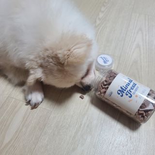 프롬씨 미네랄 소고기트릿 / 미네랄 치킨트릿 / 미네랄 북어트릿 (3가지 상품 중 랜덤 1가지 상품 랜덤 발송) — 5점을 준 리뷰어가 2022년 12월 올린 사용 사진