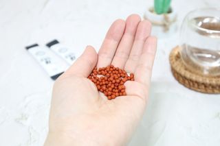 푸름웰니스 부아메라 프로폴리스 도라지 호흡편환 20포 — 5점을 준 리뷰어가 2022년 4월 올린 사용 사진