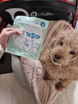 My Pet Care 천연단백질 눈건강에 개좋아 — 5점을 준 리뷰어가 2021년 3월 올린 사용 사진