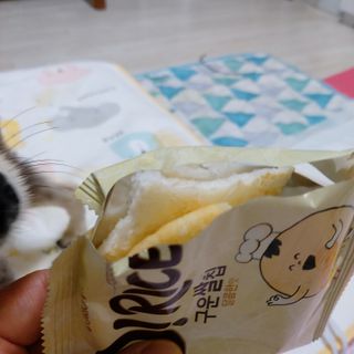 복도리님이 올린 리뷰 사진 2
