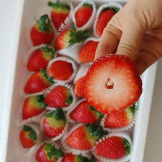 옳음 딸기 논산 설향 딸기 900g 산지직송 — 5점을 준 리뷰어가 2021년 1월 올린 사용 사진