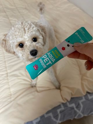 펫시랩 반려견용 액상 프리바이오틱스 아쿠아펫 — 5점을 준 리뷰어가 2020년 12월 올린 사용 사진