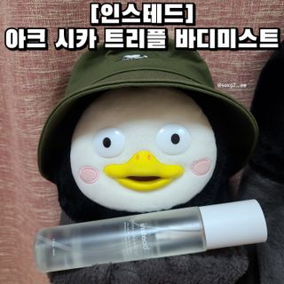 인스테드 아크 시카 트리플 바디미스트 — 5점을 준 리뷰어가 2021년 7월 올린 사용 사진