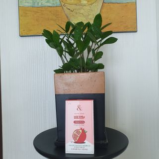 킴지님이 올린 리뷰 사진 1