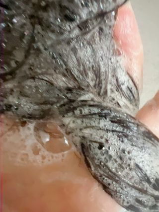 Dasa님이 올린 리뷰 사진 1