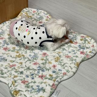 부우기님이 올린 리뷰 사진 1
